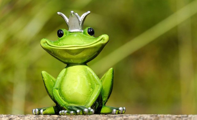Le roi grenouille