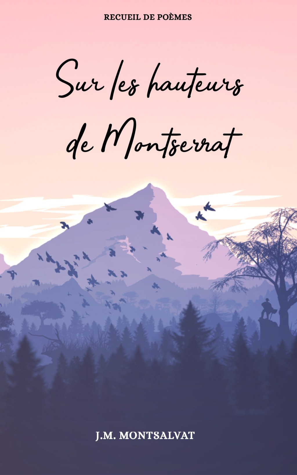 Sur les hauteurs de Montserrat