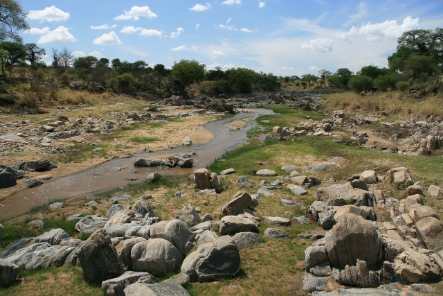 Rivière africaine